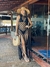 Saída de praia vestido Macramê - Grécia preto - comprar online