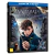 Blu-Ray + Blu-Ray 3D - Animais Fantásticos e Onde Habitam - comprar online
