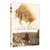 DVD - O Jovem Messias