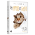 Livro - Um amor de gato