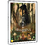 DVD - A Assassina