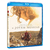 Blu-Ray - O Jovem Messias