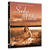 DVD - Sonho de Valsa