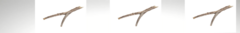 Banner da categoria Amadeirados