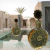 Na Guizz Perfumes -  Fakhama da MAISON ASRAR inspirado em Love Don't Be Shy, posicionado sobre a superfície de uma piscina em um ambiente externo elegante. PERFUME DA RIHANNA