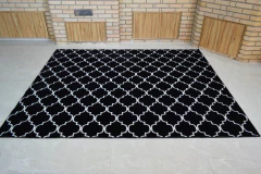 250 x 350