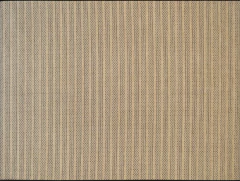 200 x 250