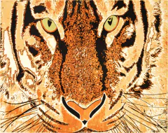 100 x 150