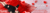 Banner rotativo 1