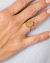 Anillo Acero Dorado Medalla Milagrosa Regulable