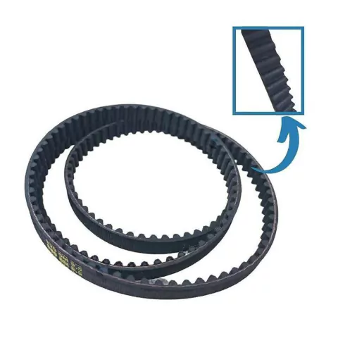 CORREIA TANQ LATINA DENTADA