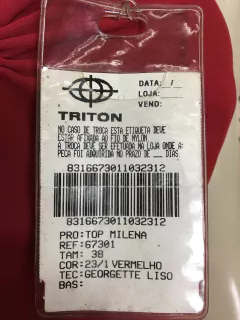 Imagem do regata tule triton milena