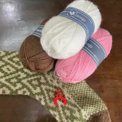 Imagem do KIT MEIA THYSANIA