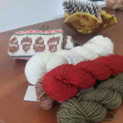 KIT MEIA DE NATAL 2024- MARINA ALBERTONI - comprar online