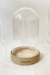 Redoma Trópica - sem vaso - comprar online