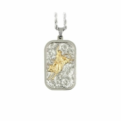 Colar Inox Pingente Medalha Bull Rider - comprar online
