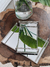 Bandeja RECTANGULAR | 2 medidas - comprar online