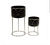 Macetero GINGKO Set x 2