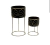 Macetero GINGKO Set x 2