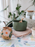 Mate con patitas - 2 estampas - tienda online