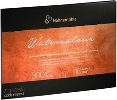 Papel Aquarela Hahnemühle The Collection Watercolour 300g 100% Algodão 24x32 Textura Rugosa 10Fls