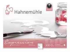 Papel Aquarela Hahnemühle Expression 100% Algodão 300g Textura Fina 20Fls