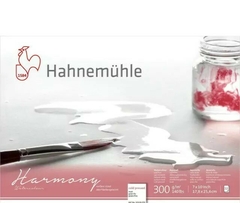 Papel Para Aquarela Hahnemühle Harmony 300g/m² Textura Fina 12 folhas.