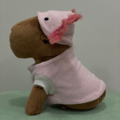 Capivara TOY | Axolote na internet