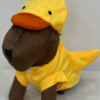 Capivara TOY | Pato