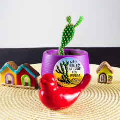 Botton Não Sei, Só Sei Que Foi Assim na internet