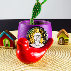 Botton Ariano Suassuna: Não Troco o Meu "Oxente" Pelo "OK" de Ninguém