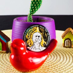 Botton Ariano Suassuna: Não Troco o Meu "Oxente" Pelo "OK" de Ninguém - comprar online