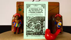 O Pequenino Grão Que Protege a Grande Floresta | Autores: Rouxinol do Rinaré e Ednaldo Vieira na internet