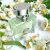 Versace Versense - Eau de toilette - 100ml na internet