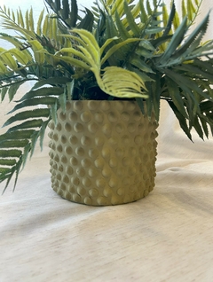 Vaso Verde Bolinhas em Cimento com Samambaia Permanente - comprar online