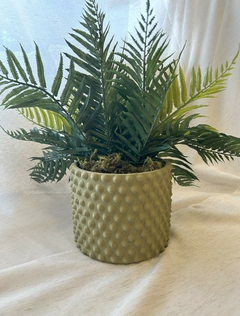 Vaso Verde Bolinhas em Cimento com Samambaia Permanente - Super Jardim Decor