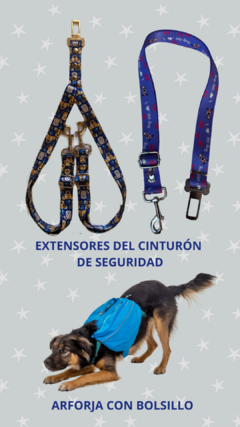 Banner de la categoría Paseos y viajes