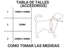 KIT DE PASEO ( MEDALLA DE REGALO) - tienda online