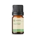 Óleo Essencial Artemísia Puro - 5 ML - comprar online
