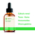 Tintura de Assa Peixe - Erva em gotas 60 ML - Aroom Health