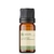 Óleo Essencial Cajeput puro - 10 ML - comprar online