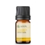 Óleo Essencial Camomila Romana Diluído a 10% - 5 ML - comprar online