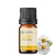 Imagem do Óleo Essencial Camomila Romana Diluído a 10% - 5 ML
