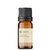 Óleo Essencial Canela Cássia puro - 10 ML - comprar online
