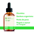 Tintura de Chá verde - Erva em gotas 60 ml - Aroom Health