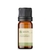 Óleo Essencial Citronela - puro 10 ML - comprar online