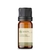 Óleo Essencial Copaíba - Puro 10 ML - comprar online