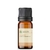 Óleo Essencial Cravo - puro 10 ML - comprar online