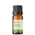 Óleo Essencial Eucalipto Glóbulos - puro 10 ML - comprar online