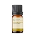 Óleo Essencial Funcho Doce puro -5 ML - comprar online